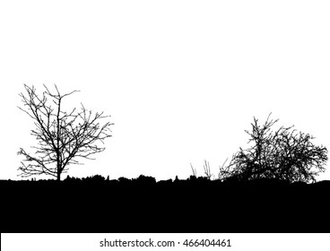 Silhouette of tree, bush with bare branches. Winter scenery trees from a far landscape and black space for text illustration