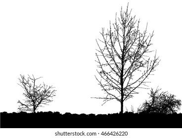 Silhouette of tree, bush with bare branches. Winter scenery trees from a far landscape and black space for text vector