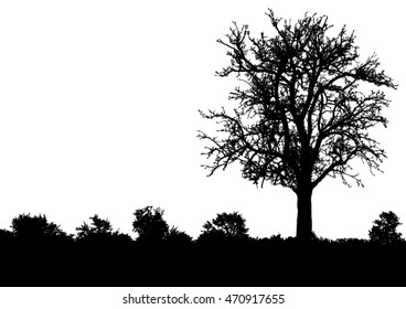 Silhouette of tree, bush with bare branches. Winter scenery trees afar landscape and black space for text, isolated vector