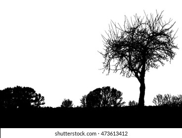 Silhouette of tree, bush with bare branches. Winter scenery trees afar landscape and black space for text, isolated vector