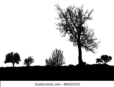Silhouette of tree, bush with bare branches. Winter scenery trees afar landscape and black space for text, isolated vector