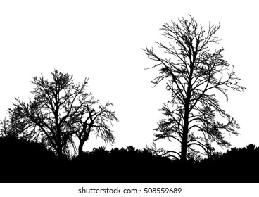 Silhouette of tree, bush with bare branches. Winter scenery trees from a far landscape and black space for text vector