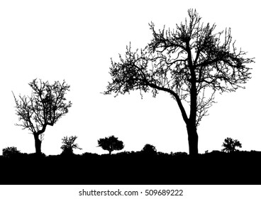 Silhouette of tree, bush with bare branches. Winter scenery trees afar landscape and black space for text, isolated vector
