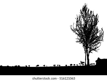 Silhouette of tree, bush with bare branches. Winter scenery trees afar landscape and black space for text, isolated vector