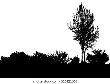 Silhouette Of Tree, Bush With Bare Branches. Winter Scenery Trees Afar Landscape And Black Space For Text, Isolated Vector