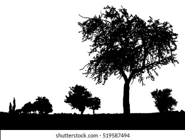 Silhouette Of Tree, Bush With Bare Branches. Winter Scenery Trees Afar Landscape And Black Space For Text, Isolated Vector