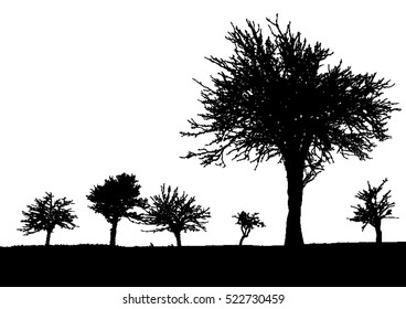 Silhouette of tree, bush with bare branches. Winter scenery trees afar landscape and black space for text, isolated vector