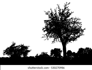 Silhouette of tree, bush with bare branches. Winter scenery trees afar landscape and black space for text, isolated vector