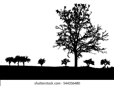 Silhouette of tree, bush with bare branches. Winter scenery trees afar landscape and black space for text, isolated vector