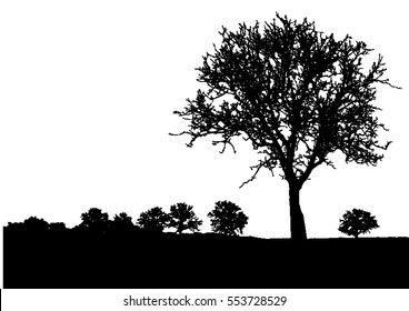 21,669 Shrub Silhouette Images, Stock Photos & Vectors | Shutterstock