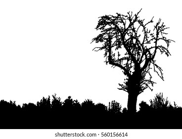 Silhouette of tree, bush with bare branches. Winter scenery trees afar landscape and black space for text, isolated vector