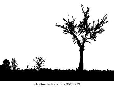 Silhouette of tree, bush with bare branches. Winter scenery trees afar landscape and black space for text, isolated vector