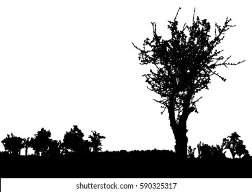 Silhouette of tree, bush with bare branches. Winter scenery trees afar landscape and black space for text, isolated vector