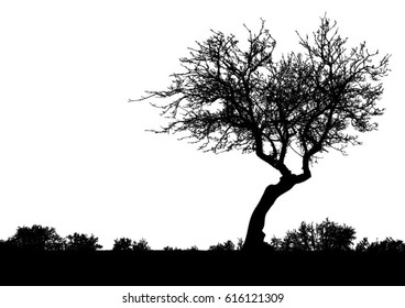 Silhouette of tree, bush with bare branches. Winter scenery trees afar landscape and black space for text, isolated vector