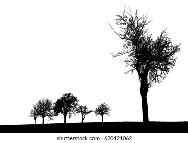 Silhouette of tree, bush with bare branches. Winter scenery trees afar landscape and black space for text, isolated vector