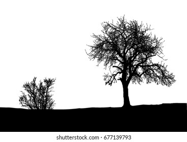 Silhouette of tree, bush with bare branches. Winter scenery trees afar landscape and black space for text, isolated vector