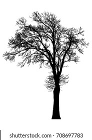 Silhouette of tree, bush with bare branches vector.