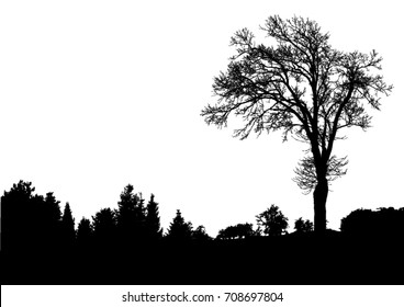 Silhouette of tree, bush with bare branches. Winter scenery trees afar landscape and black space for text, isolated vector
