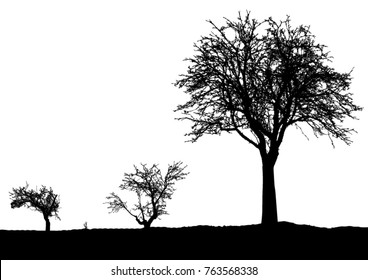 Silhouette of tree, bush with bare branches. Winter scenery trees afar landscape and black space for text
