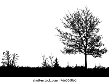 Silhouette of tree, bush with bare branches. Winter scenery trees afar landscape and black space for text, isolated vector