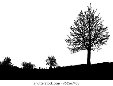 Silhouette of tree, bush with bare branches. Winter scenery trees afar landscape and black space for text, isolated vector