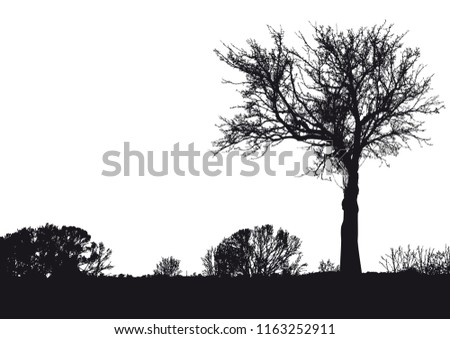 Similar – Image, Stock Photo maverick Tree Heathland