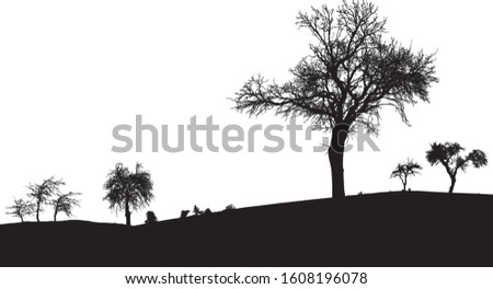 Silhouette of tree, bush with bare branches. Winter scenery trees afar landscape and black space for text, isolated 