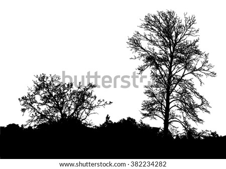 Similar – Image, Stock Photo maverick Tree Heathland