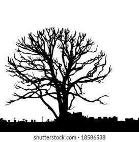 Silhouette of a tree in a city