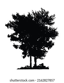 silhouette tree clipart. vector silhouette of a young tree.