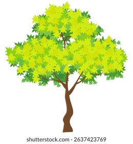the silhouette of the tree is dark green, with a white background