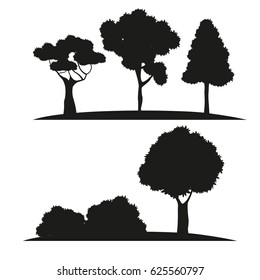 silhouette tree different nature