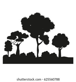 silhouette tree different nature foliage