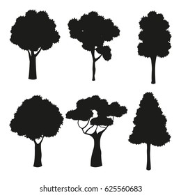 silhouette tree different nature trunk