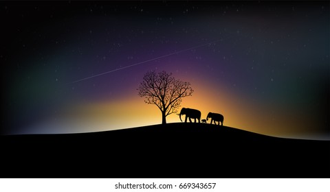 Silhouette of the Tree and elephant family, Beautiful night sky with a lot of shiny stars, natural background.