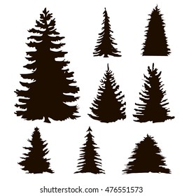 silhouette of tree , fir , vector