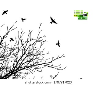 The silhouette of a tree with flying birds. Vector illustration