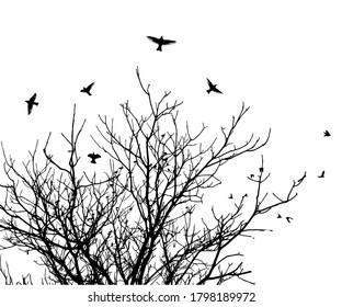 The silhouette of a tree with flying birds. Vector illustration