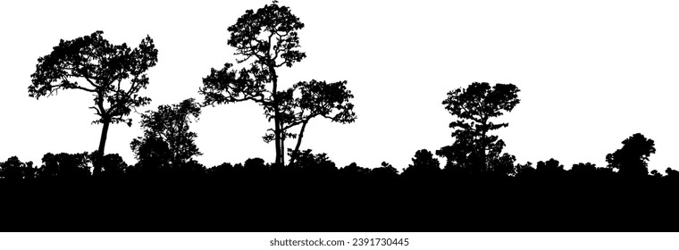 Silhouette de un árbol. Silueta forestal, sombra de árbol.