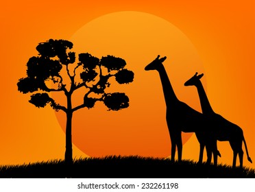 silhouette tree and giraffe on sunset