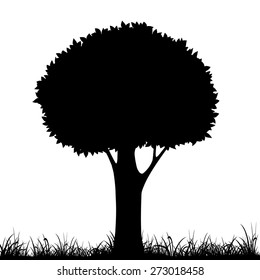 silhouette of a tree and grass. Vector image.