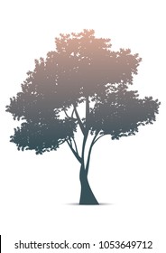 Silhouette tree illustration
