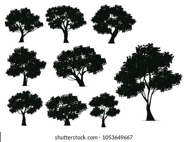 Silhouette tree illustration on a white background