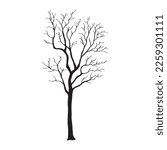 silhouette of a tree isolated. Isolated Dead tree on the white background. Dead tree silhouettes. Vector EPS 10
