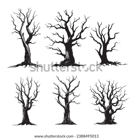 silhouette of a tree isolated. Isolated Dead tree on the white background. Dead tree silhouettes. 
