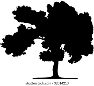 The silhouette of a tree isolated on a white background