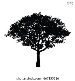 631,047 Tree Silhouette Black Images, Stock Photos & Vectors | Shutterstock