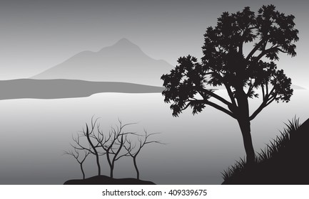 Silhouette of tree in lake with gray backgrounds
