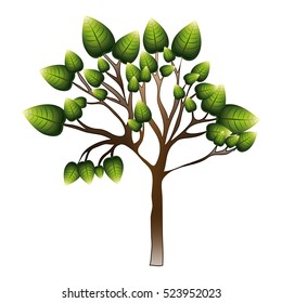 silhouette tree with leafy branches