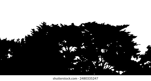 Silhouette tree leaves abstract background. Natural pattern and copy space or empty. For advertisements, business cards, brochures and white background